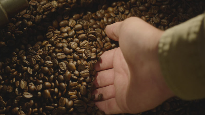 A hand reaching into coffee beans and pulling some out